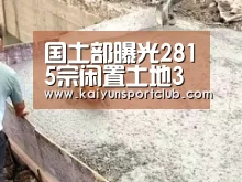 www.开云.com