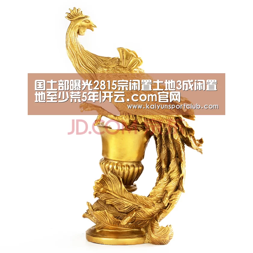 国土部曝光2815宗闲置土地3成闲置地至少荒5年|开云.com官网