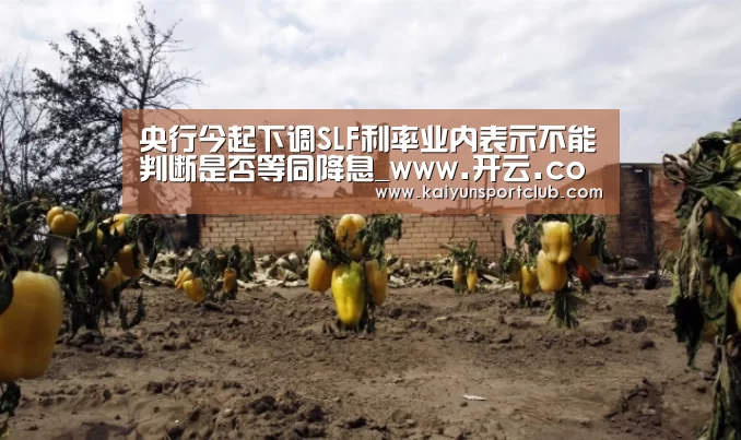 央行今起下调SLF利率业内表示不能判断是否等同降息_www.开云.com
